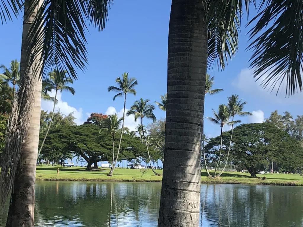 Stunning Views Best Location In Hilo 2Br Modern Condo Exterior photo