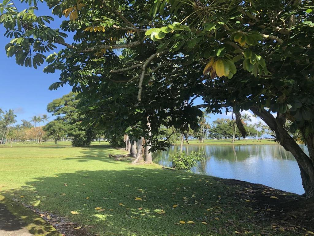 Stunning Views Best Location In Hilo 2Br Modern Condo Exterior photo